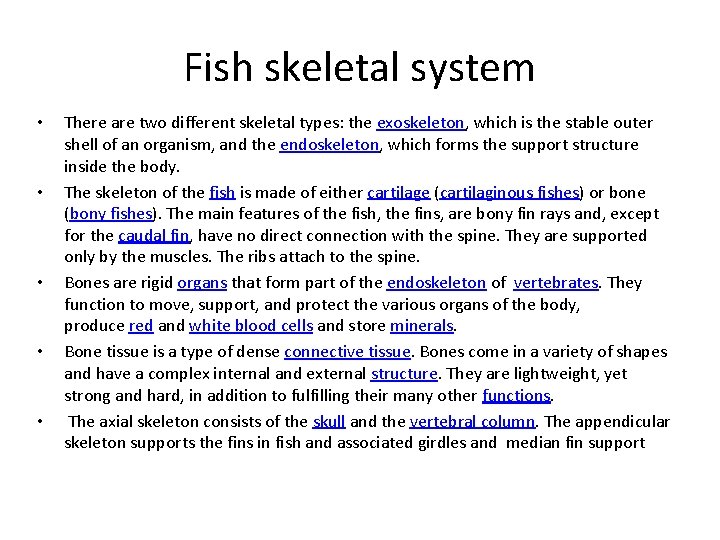 Fish skeletal system • • • There are two different skeletal types: the exoskeleton,