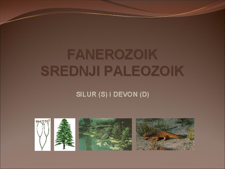 FANEROZOIK SREDNJI PALEOZOIK SILUR (S) i DEVON (D) FANEROZOIK SREDNJI PALEOZOIK SILUR (S) i DEVON (D)