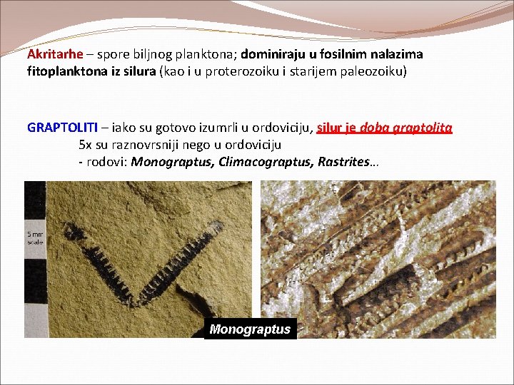 Akritarhe – spore biljnog planktona; dominiraju u fosilnim nalazima fitoplanktona iz silura (kao i Akritarhe – spore biljnog planktona; dominiraju u fosilnim nalazima fitoplanktona iz silura (kao i