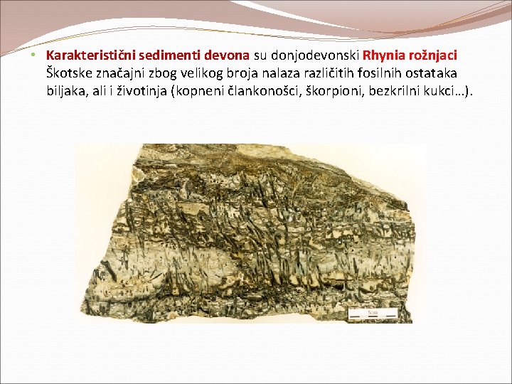 • Karakteristični sedimenti devona su donjodevonski Rhynia rožnjaci Škotske značajni zbog velikog broja • Karakteristični sedimenti devona su donjodevonski Rhynia rožnjaci Škotske značajni zbog velikog broja