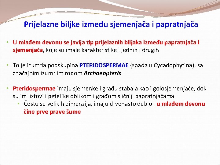Prijelazne biljke između sjemenjača i papratnjača • U mlađem devonu se javlja tip prijelaznih Prijelazne biljke između sjemenjača i papratnjača • U mlađem devonu se javlja tip prijelaznih