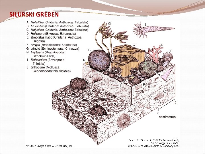 SILURSKI GREBEN SILURSKI GREBEN