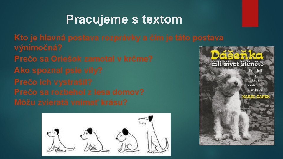 Pracujeme s textom Kto je hlavná postava rozprávky a čím je táto postava výnimočná?