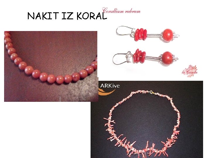 NAKIT IZ KORAL NAKIT IZ KORAL