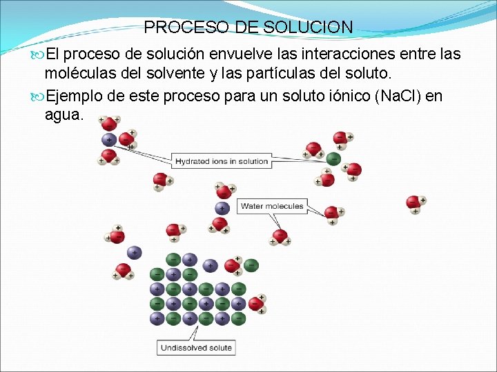 PROCESO DE SOLUCION El proceso de solución envuelve las interacciones entre las moléculas del PROCESO DE SOLUCION El proceso de solución envuelve las interacciones entre las moléculas del