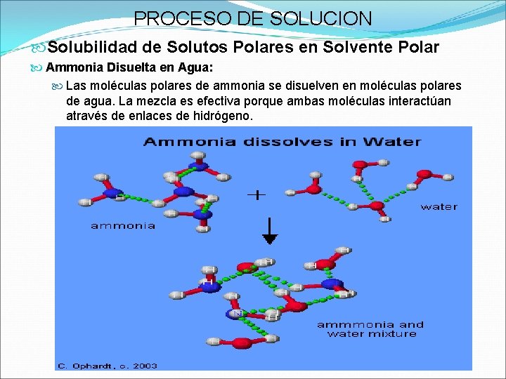 PROCESO DE SOLUCION Solubilidad de Solutos Polares en Solvente Polar Ammonia Disuelta en Agua: PROCESO DE SOLUCION Solubilidad de Solutos Polares en Solvente Polar Ammonia Disuelta en Agua:
