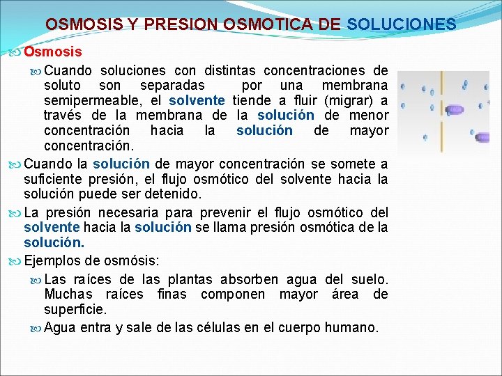 OSMOSIS Y PRESION OSMOTICA DE SOLUCIONES Osmosis Cuando soluciones con distintas concentraciones de soluto OSMOSIS Y PRESION OSMOTICA DE SOLUCIONES Osmosis Cuando soluciones con distintas concentraciones de soluto