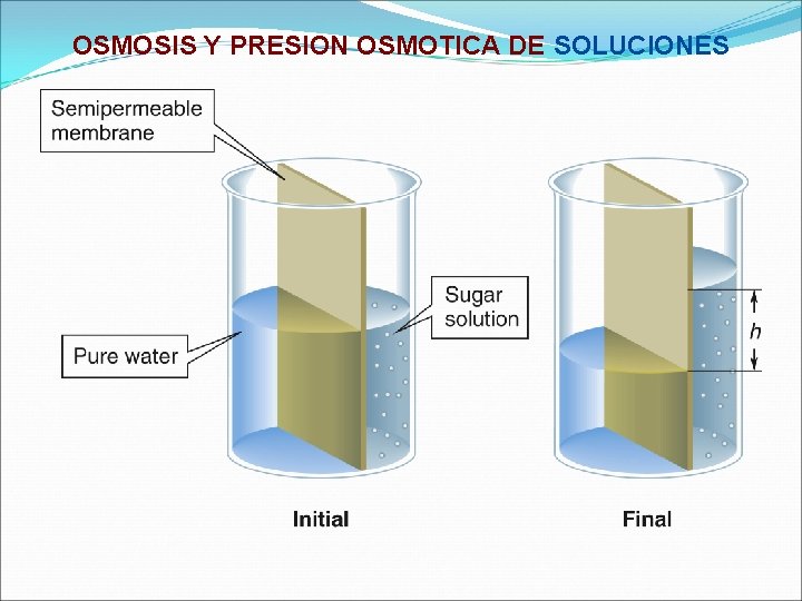 OSMOSIS Y PRESION OSMOTICA DE SOLUCIONES OSMOSIS Y PRESION OSMOTICA DE SOLUCIONES