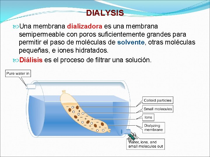 DIALYSIS Una membrana dializadora es una membrana semipermeable con poros suficientemente grandes para permitir DIALYSIS Una membrana dializadora es una membrana semipermeable con poros suficientemente grandes para permitir