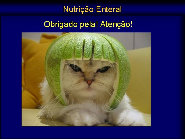 Nutrição Enteral Obrigado pela! Atenção! 