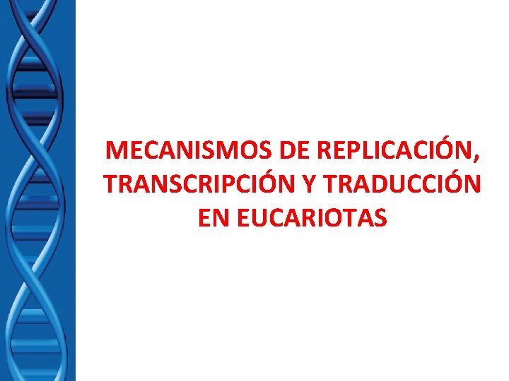 MECANISMOS DE REPLICACIÓN, TRANSCRIPCIÓN Y TRADUCCIÓN EN EUCARIOTAS 