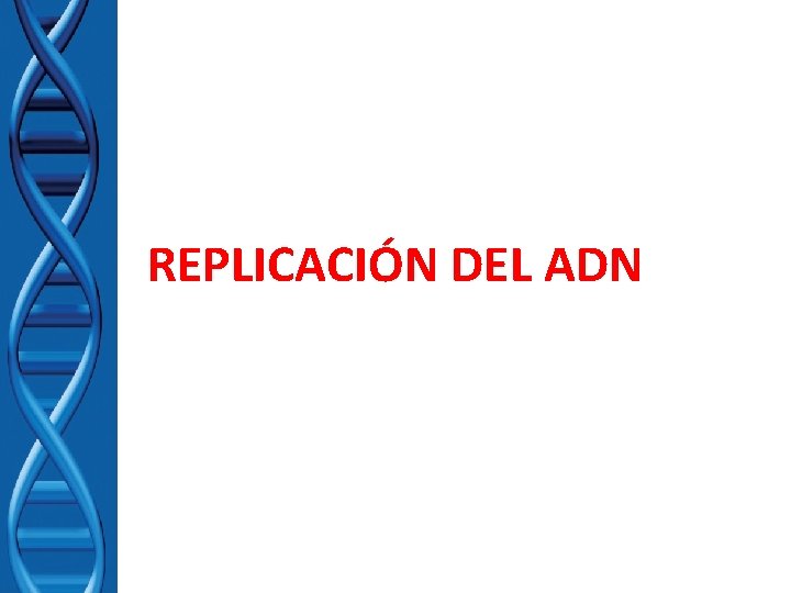 REPLICACIÓN DEL ADN 