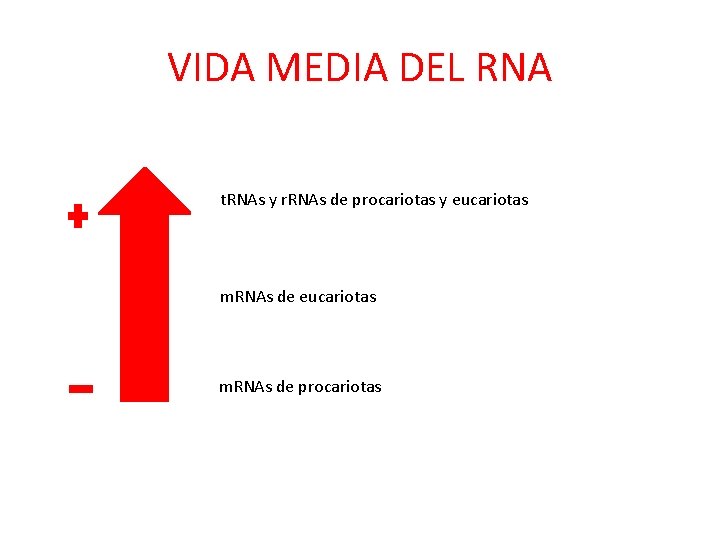 VIDA MEDIA DEL RNA t. RNAs y r. RNAs de procariotas y eucariotas m.