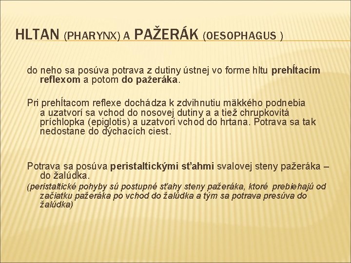 HLTAN (PHARYNX) A PAŽERÁK (OESOPHAGUS ) do neho sa posúva potrava z dutiny ústnej