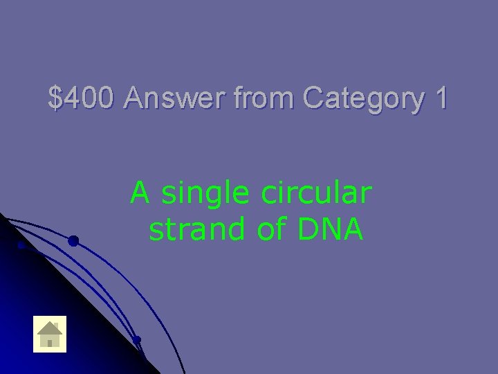 $400 Answer from Category 1 A single circular strand of DNA 