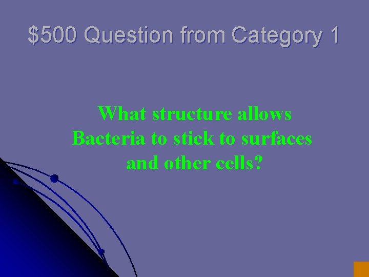 $500 Question from Category 1 What structure allows Bacteria to stick to surfaces and