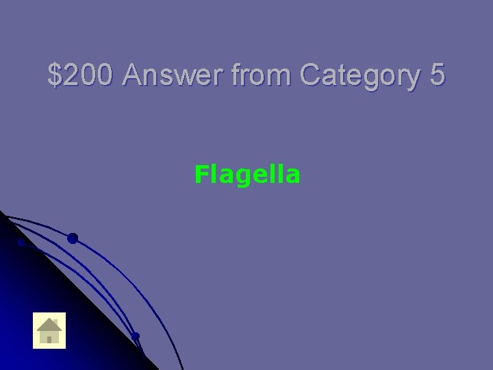 $200 Answer from Category 5 Flagella 
