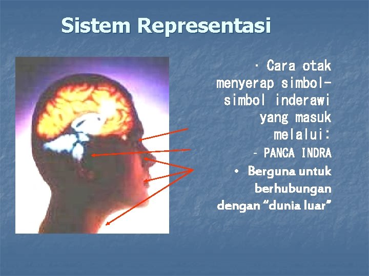Sistem Representasi • Cara otak menyerap simbol inderawi yang masuk melalui: – PANCA INDRA