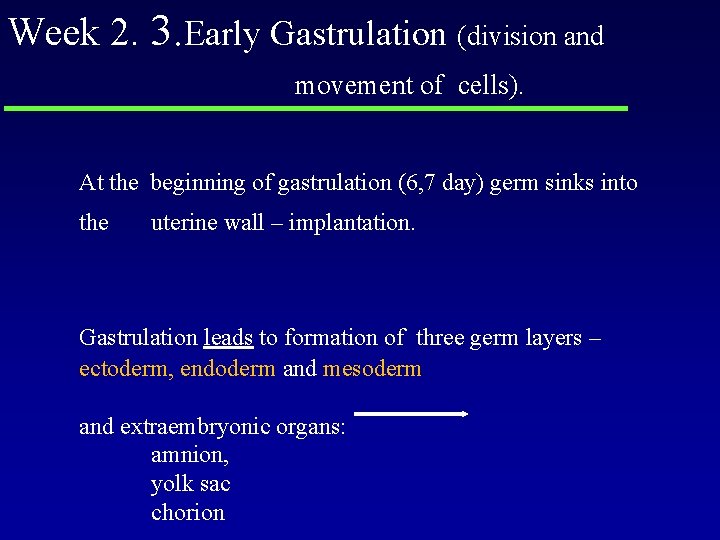 Week 2. 3. Early Gastrulation (division and movement of cells). At the beginning of