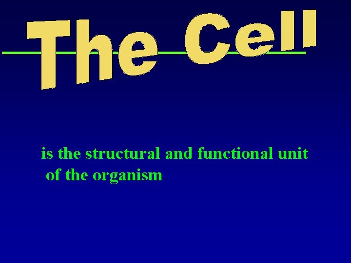 is the structural and functional unit of the organism 