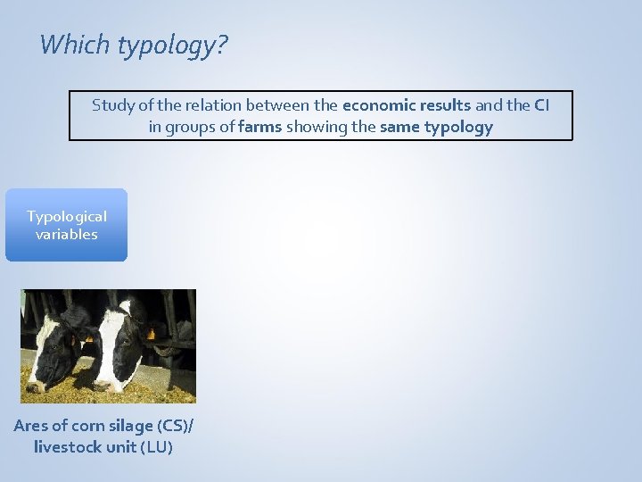 Which typology? Study of the relation between the economic results and the CI in