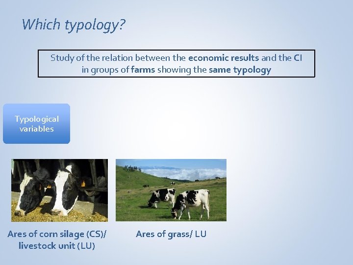 Which typology? Study of the relation between the economic results and the CI in