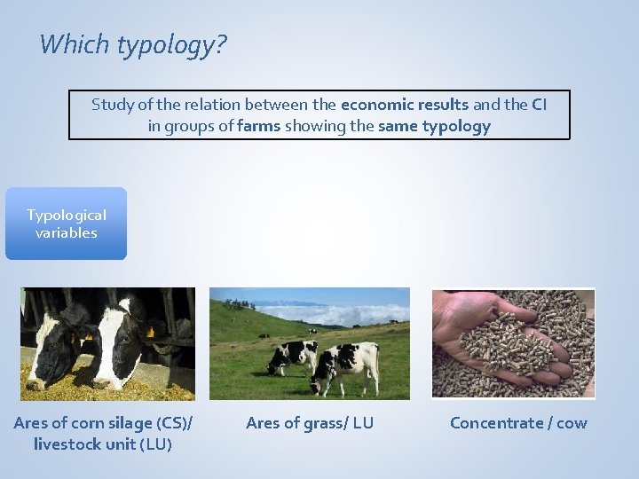 Which typology? Study of the relation between the economic results and the CI in