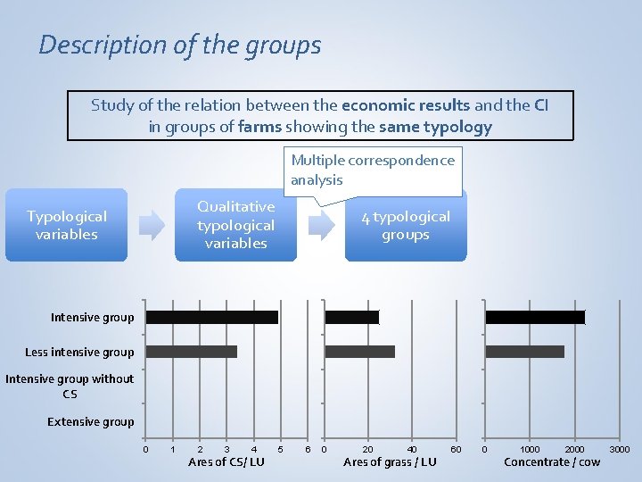 Description of the groups Study of the relation between the economic results and the