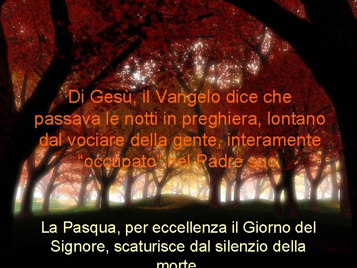 Di Gesù, il Vangelo dice che passava le notti in preghiera, lontano dal vociare