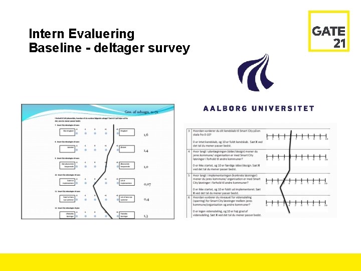 Intern Evaluering Baseline - deltager survey 