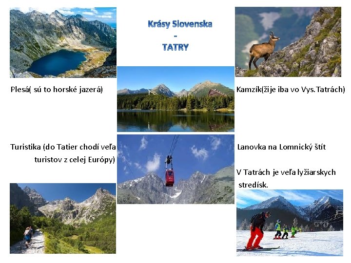 Plesá( sú to horské jazerá) Kamzík(žije iba vo Vys. Tatrách) Turistika (do Tatier chodí
