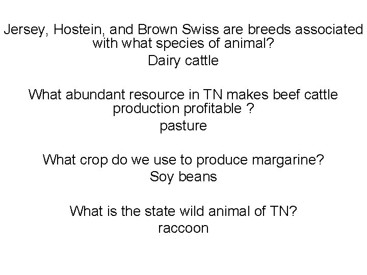 Jersey, Hostein, and Brown Swiss are breeds associated with what species of animal? Dairy