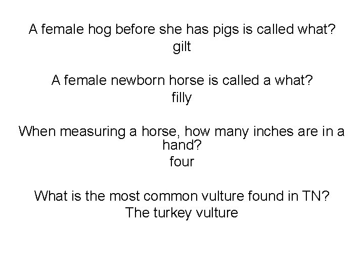 A female hog before she has pigs is called what? gilt A female newborn