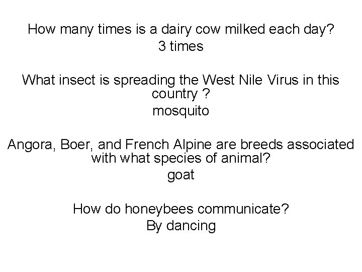 How many times is a dairy cow milked each day? 3 times What insect