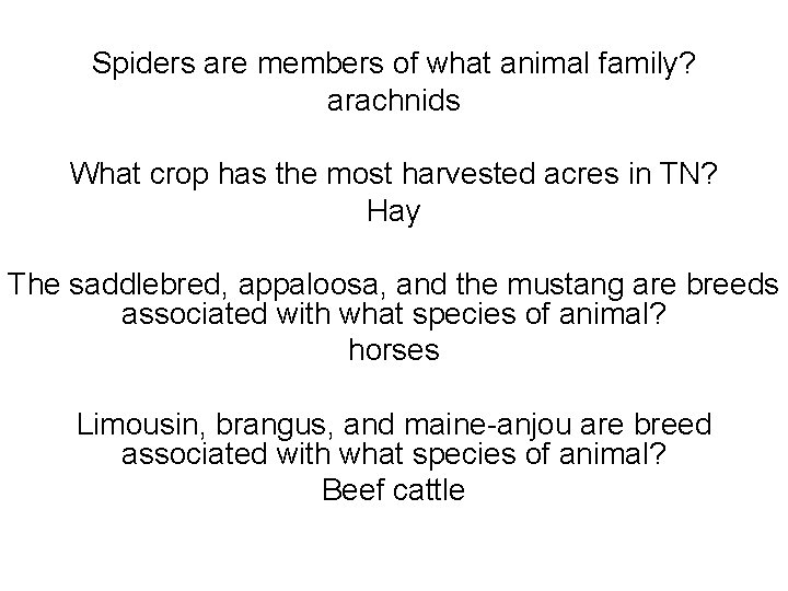 Spiders are members of what animal family? arachnids What crop has the most harvested