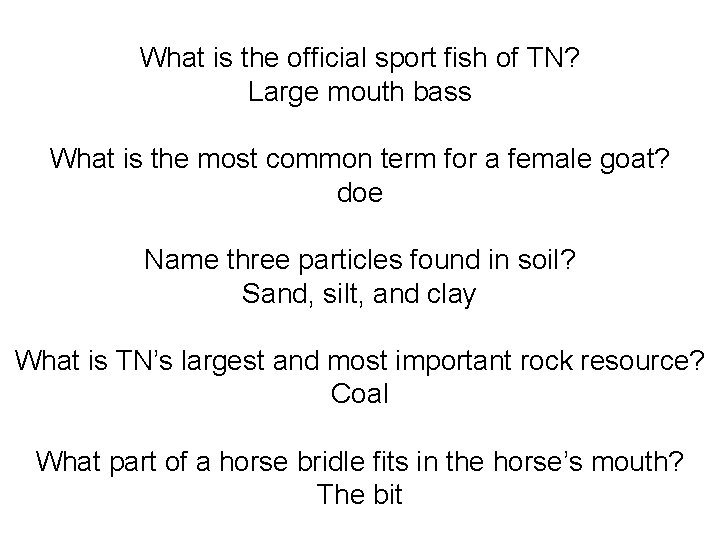 What is the official sport fish of TN? Large mouth bass What is the