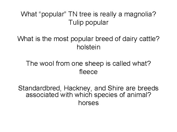 What “popular” TN tree is really a magnolia? Tulip popular What is the most