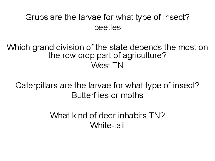 Grubs are the larvae for what type of insect? beetles Which grand division of