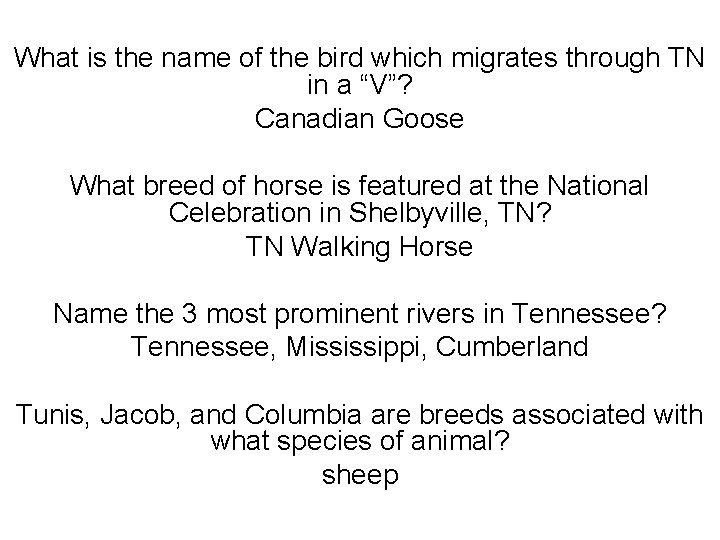 What is the name of the bird which migrates through TN in a “V”?