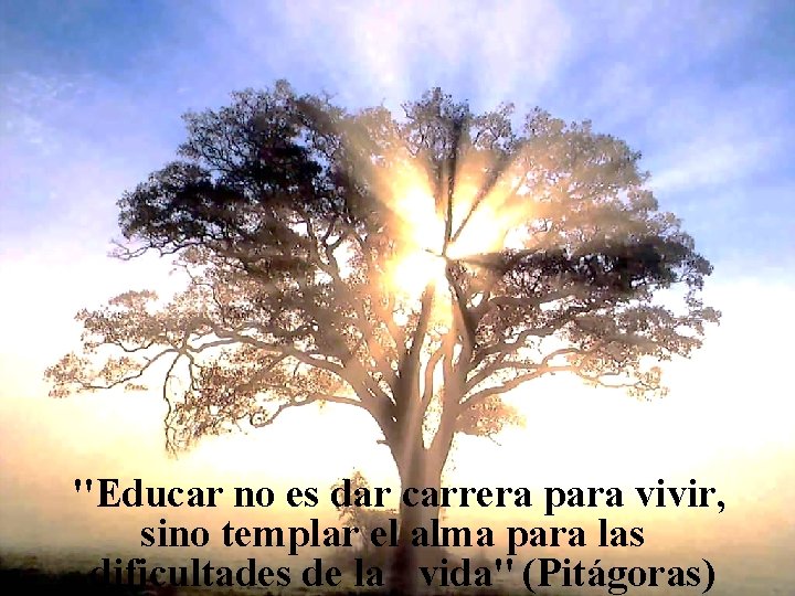 Reflexión "Educar no es dar carrera para vivir, sino templar el alma para las