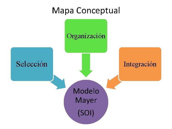 Mapa Conceptual Organización Selección Integración Modelo Mayer (SOI) 