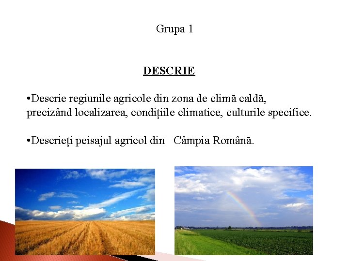 Grupa 1 DESCRIE • Descrie regiunile agricole din zona de climă caldă, precizând localizarea,