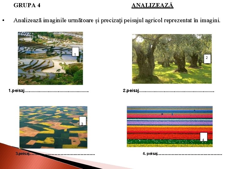 GRUPA 4 • ANALIZEAZĂ Analizează imaginile următoare și precizați peisajul agricol reprezentat în imagini.