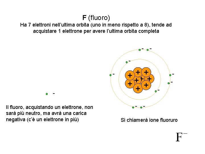 F (fluoro) Ha 7 elettroni nell’ultima orbita (uno in meno rispetto a 8), tende