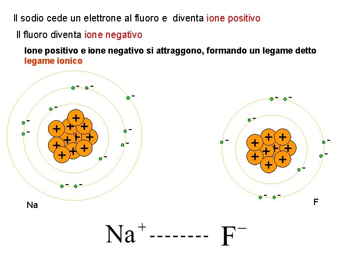 Il sodio cede un elettrone al fluoro e diventa ione positivo Il fluoro diventa