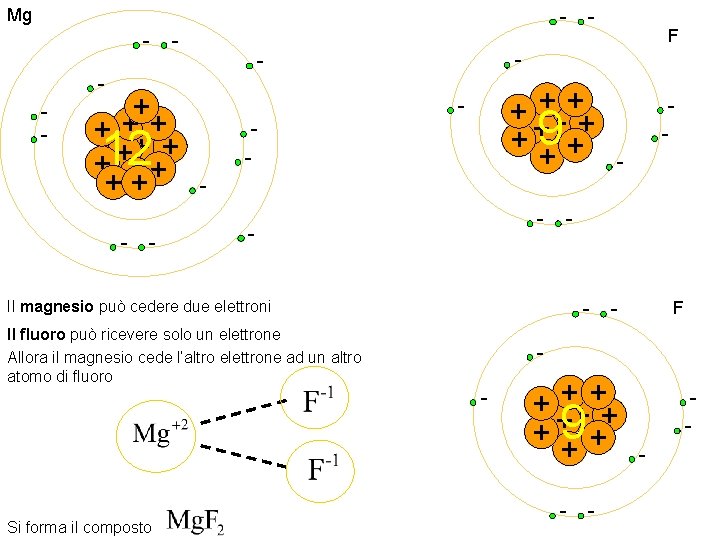 Mg - - - + ++ + 12 + ++ ++ - - +