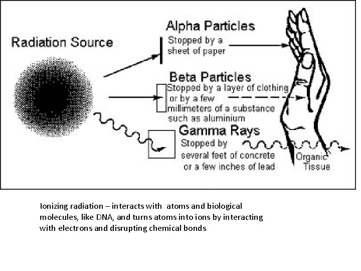 Ionizing radiation – interacts with atoms and biological molecules, like DNA, and turns atoms