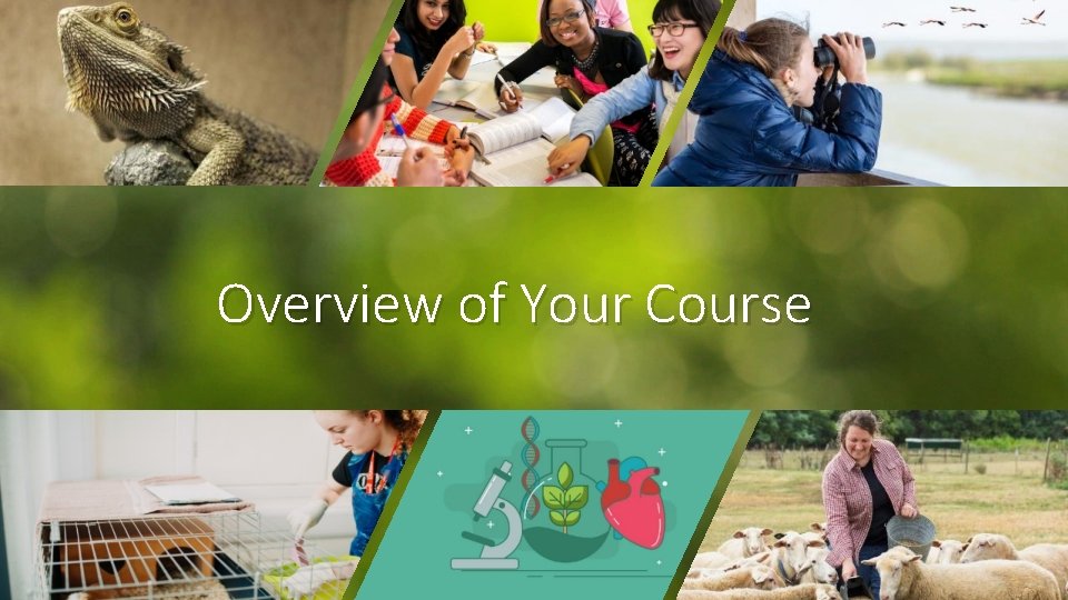 Course Work Level 1 Level 1 Award Certificate and Diploma in Workbased