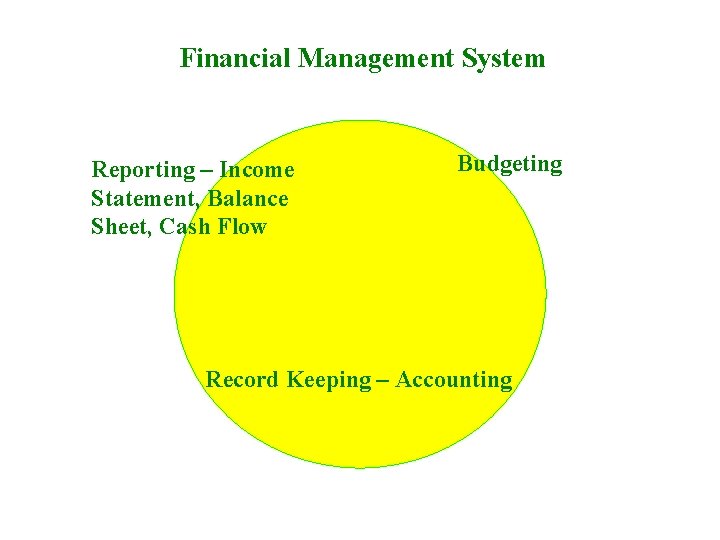 Financial Management System Reporting – Income Statement, Balance Sheet, Cash Flow Budgeting Record Keeping