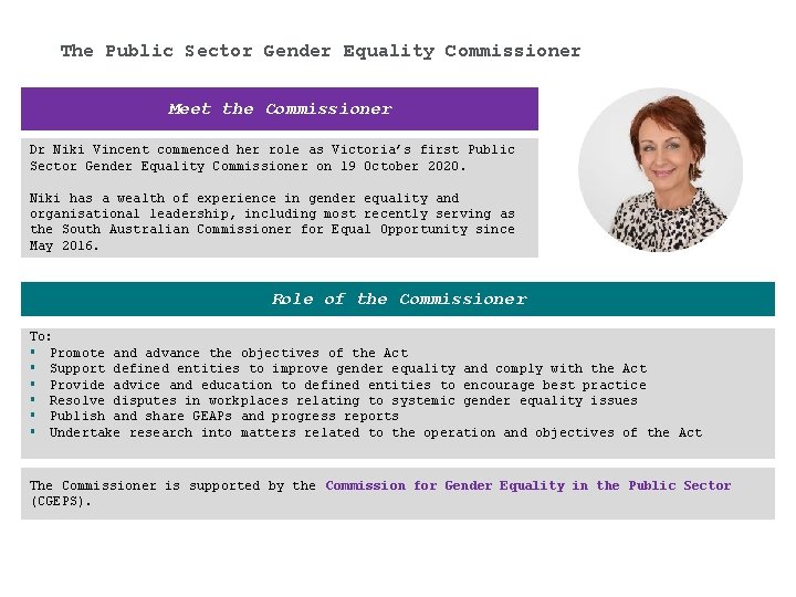 The Public Sector Gender Equality Commissioner Meet the Commissioner Dr Niki Vincent commenced her
